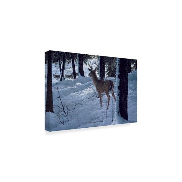 Ron Parker 'Whitetail And Wolves' Canvas Art,30x47